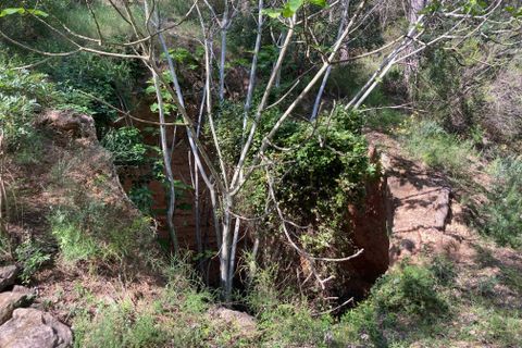 Landejendom i El Perello, Tarragona, El Perello - € 36.000 | Ref: Finca Montanas - foto 34